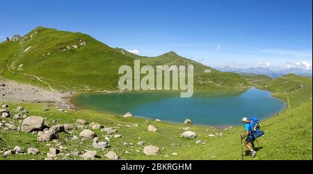 France, Savoie, Beaufortain, le Lac d'Amour Banque D'Images