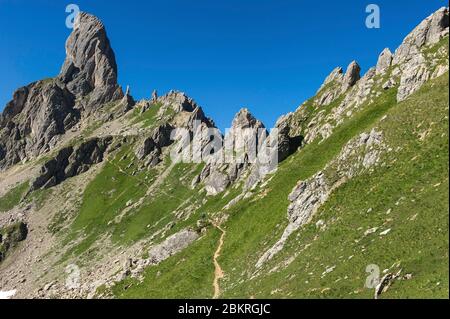 France, Savoie, Beaufortain, le refuge de Presset, randonneur sur le chemin menant à la Pierra Menta (2714m) via le Col ? Tutu Banque D'Images