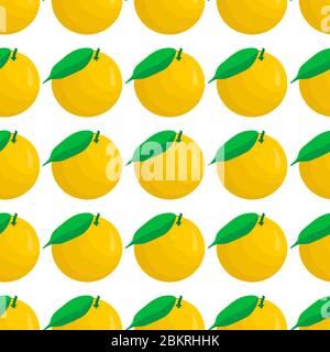 Illustration sur thème pamplemousse transparent de grande couleur, motif de fruits lumineux pour le phoque. Motif fruit composé de pamplemousse de répétition sans couture Illustration de Vecteur