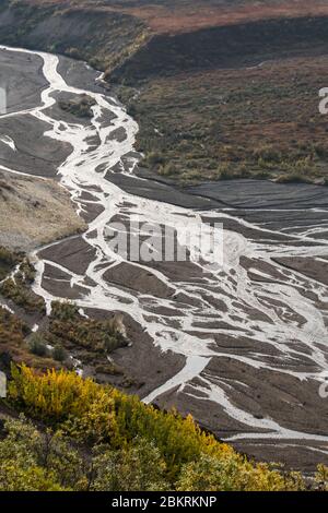 Une rivière tressée dans le parc national Denali, Alaska, aux couleurs automnales Banque D'Images