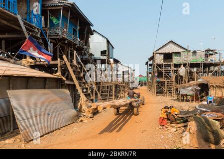 Cambodge, Kompong Kleang ou Kampong Kleang, village sur pilotis par le lac Tonle SAP, Banque D'Images