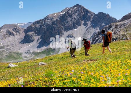 France, Savoie, Champagny-le-Haut, Parc National de la Vanoise, Tour du Vallaisonnay, randonneurs descendant du Col du Plan S?ry (2609m) vers le refuge entre le Lac (2151m) avec les rochers rouges (3003m) en arrière-plan Banque D'Images