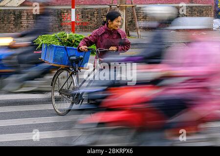 Vietnam, Hanoi, Long Bien marché de gros Banque D'Images