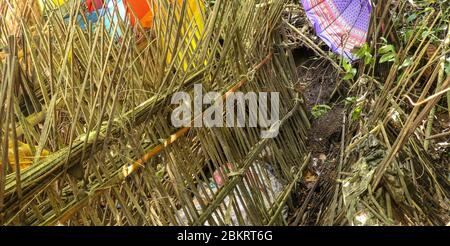 Tombe de bâtons de bambou dans un cimetière du village de Terunyan. Kuburan traditionnel à Bali, Indonésie. Les corps sont enterrés au-dessus du sol. Crâne humain avec tee Banque D'Images