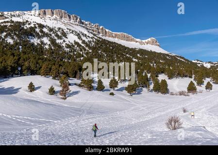 France, Drôme, Vercors, hauts-plateaux, sommet de la Montagnette (1972m), randonneur dans le Vallon de Combo Banque D'Images