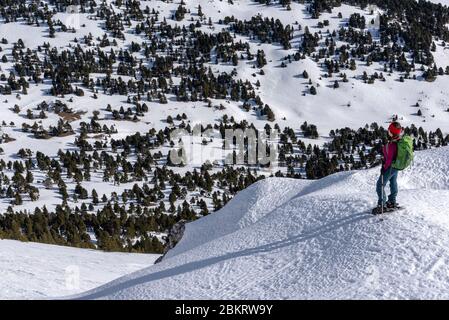 France, Drôme, Vercors, hauts-plateaux, haut de la Montagnette (1972m), point de vue depuis le Grand pas sur le Vallon de Combo Banque D'Images