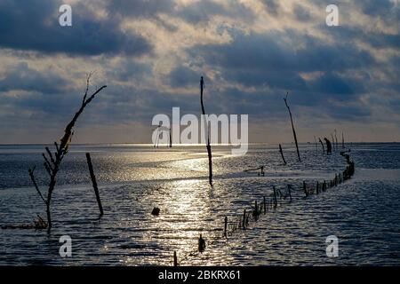 Vietnam, province de Tien Giang, Go Cong, la plage Banque D'Images