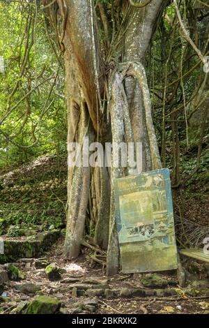 Bâtons de bambou dans le village de Trunyan. Kuburan traditionnel à Bali, Indonésie. Les corps sont enterrés au-dessus du sol. Crâne humain parmi les tissus colorés. Partie d'un Banque D'Images