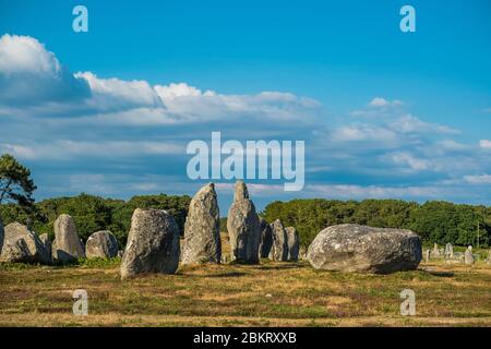 France, Morbihan, Carnac, alignement mégalithique (menhir) Banque D'Images