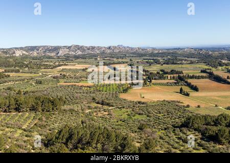 France, Bouches-du-RH?ne, Parc naturel régional des Alpilles, les Baux de Provence, labellisés les plus Beaux villages de France, la vallée de l'Entreuse au pied du village de Baux-de-Provence, dédiée à la culture de la vigne et de l'olivier Banque D'Images