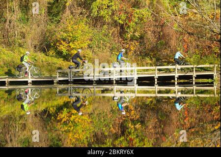 France, Drôme, Andancette, via Rhona, cyclistes sur les rives des Rhones à Andancette Banque D'Images