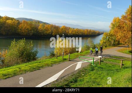 France, Drôme, Andancette, via Rhona, cyclistes sur les rives des Rhones à Andancette Banque D'Images