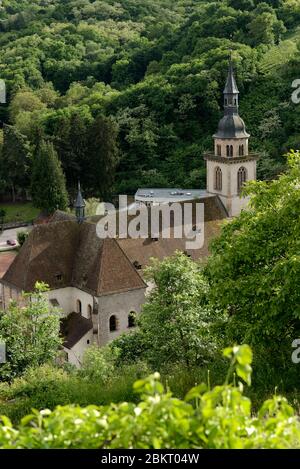 Basilique de France, Bas Rhin, Andlau, Saint Pierre et Saint Paul datant des XIIe et XVIIIe siècles, des vignobles de Kastelberg Banque D'Images