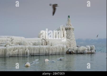 Suisse, canton de Genève, Versoix, les bords du lac Léman se gelant sous un vent très fort et froid, pontons couverts de glace Banque D'Images