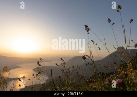 France, haute Savoie, Lac d'Annecy au coucher du soleil depuis le Col de la Forclaz Banque D'Images