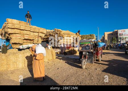 Maroc, région de Souss-Massa, Taroudant, le souk du dimanche Banque D'Images