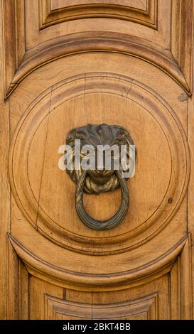 Porte en bronze en forme de lion sur porte en bois. Banque D'Images