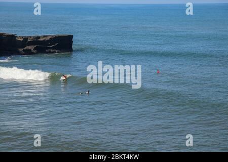 Vue aérienne du surfeur sur la surface bleue de l'océan Indien. Faire des vagues. Plage de Batu Bolong sur la côte rocheuse de l'île de Bali, Indonésie. Surfer sur le Banque D'Images