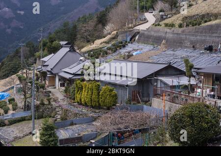 Maisons et champs dans le village agricole traditionnel d'Ochiai, Vallée d'Iya, Tokushima, Japon Banque D'Images