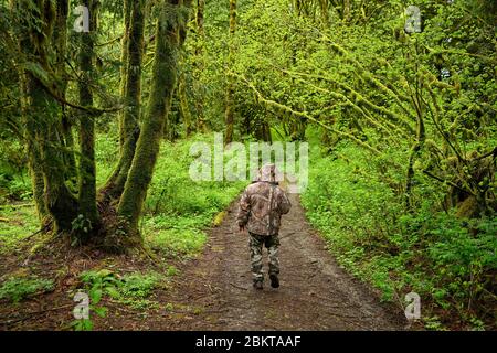 Un explorateur de la nature et de l'arrière-pays en vêtements de camouflage marche sur un chemin qui mène à travers une forêt tropicale à son meilleur en pluie printanière à Bridal Veil Pro Banque D'Images