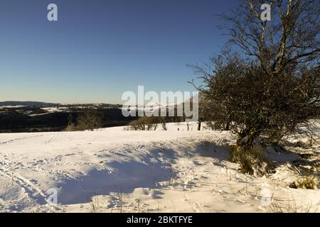 Vue grand angle en paysage d'un champ recouvert de neige Banque D'Images