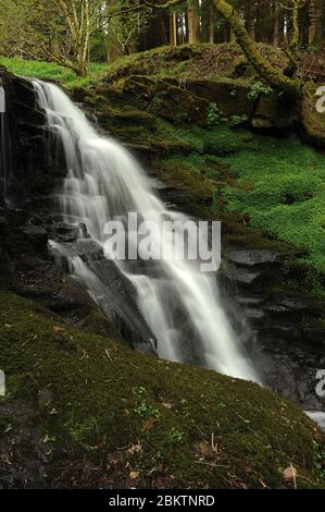 Chute d'eau avant-dernière sur le Nant Bwrefwr. Banque D'Images