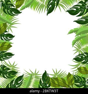 Affiche vectorielle tendance feuilles tropicales. Été tropical nature palmiers feuilles poster fond design Illustration de Vecteur