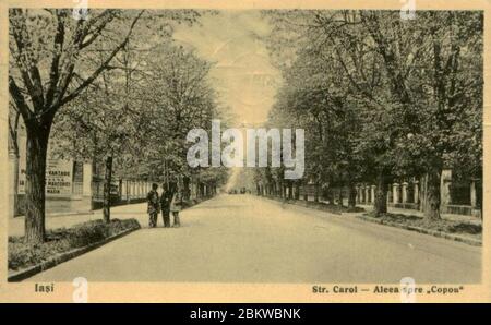 Rue Iasi Copou Carol. Banque D'Images