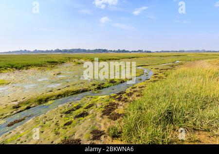 Smugglers Lane et Ferry zones de saltmarais intertidal dur à marée basse, Bosham, un petit village dans le port de Chichester, West Sussex, côte sud de l'Angleterre Banque D'Images