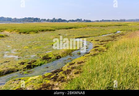 Smugglers Lane et Ferry zones de saltmarais intertidal dur à marée basse, Bosham, un petit village dans le port de Chichester, West Sussex, côte sud de l'Angleterre Banque D'Images