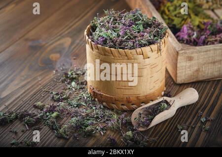 Bol en bois de marjolaine sauvage sèche ou de plantes vulgare d'Origanum, caisse en bois d'herbes médicinales sur fond. Banque D'Images