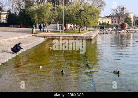 Femme touristique prenant des photos de canards avec son smartphone sur le bord du lac avec la promenade en arrière-plan, Bardolino, Vérone, Vénétie, Italie Banque D'Images