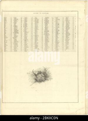 Atlas illustré de Lake County, Illinois - contenant des cartes de chaque canton du comté, avec des villes et des villages - aussi des cartes du Michigan ... Texas et Washington Territory - compilé Banque D'Images