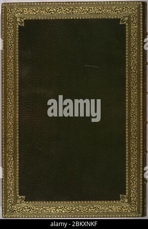 Illustrations de la famille des Psittacidae, ou perroquets (1832) -couverture arrière -par Edward Lear. Banque D'Images