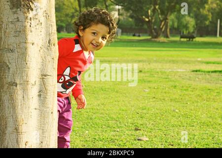 Adorable petit garçon caucasien heureux avec des cheveux bouclés peeking autour du tronc d'arbre jouant à cacher et chercher dans un parc le soir d'été Banque D'Images