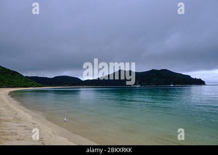 Plage d'Onetahuti, parc national d'Abel Tasman, Île du Sud, Nouvelle-Zélande. Banque D'Images