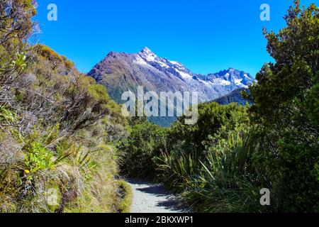 Vue imprenable sur le mont Christina à la section Key Summit Track de Routeburn Track, l'un des grands sentiers de l'île du Sud de la Nouvelle-Zélande. Banque D'Images