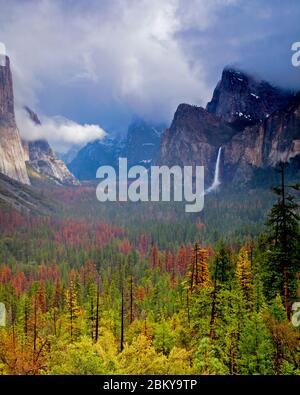 La couleur de l'automne dans le parc national de Yosemite Banque D'Images