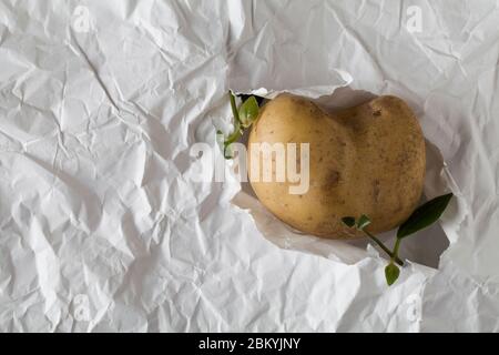 Laides pomme de terre en forme de coeur sur papier blanc de métier froissé. Concept anormal de l'environnement végétal Banque D'Images