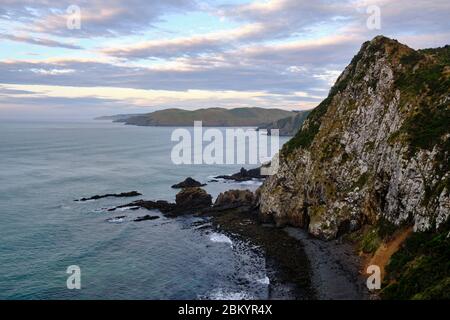 Vue sur les falaises depuis le phare de Nugget point tôt le matin. Banque D'Images