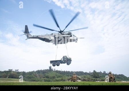 Les Marines des États-Unis avec combat Logistics Battalion 4, 3e Marine Logistics Group, regardez comme un CH-53E Super Stallion lève la cargaison simulée à la zone d'atterrissage Swan, Okinawa, Japon, le 1er mai 2020. La CLB-4 a mené des opérations de l'équipe de soutien aux hélicoptères pour former des spécialistes et des pilotes de soutien à l'atterrissage afin de transférer de l'équipement lourd et des fournitures avec un hélicoptère CH-53E Super Stallion. (ÉTATS-UNIS Photo du corps marin par PFC. Courtney A. Robertson) Banque D'Images