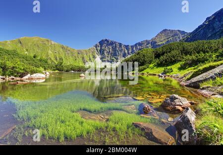 Lac de montagne Slovaquie - Rohacske plesa, West Tatras Banque D'Images