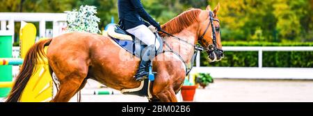 Belle fille sur le cheval de l'étreuil dans le spectacle de saut, sports équestres. Cheval brun clair et fille en uniforme allant sauter. En-tête de bande horizontal ou banne Banque D'Images