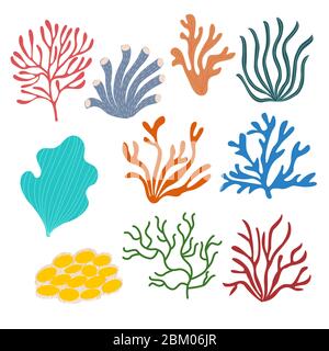 Ensemble de coraux marins sur fond blanc dans les graphiques vectoriels. Pour la conception de papiers peints, couvertures de carnets, tirages pour textiles, papier d'emballage Illustration de Vecteur