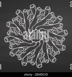 Version de contour des Courgettes disposées en cercle. Composition ronde sans couture avec légumes dessinés à la main. Illustration vectorielle sur tableau noir Illustration de Vecteur