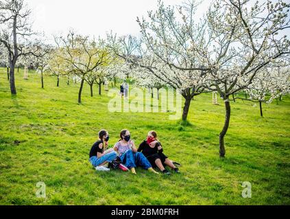 Les personnes avec masque facial se détendent sous les arbres en fleurs dans les jardins de Petrin, dans le centre de Prague, République tchèque, le 10 avril 2020. (CTK photo/Rene FL Banque D'Images