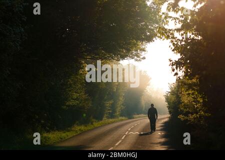 Un homme marche le long d'une ruelle de campagne lors d'une matinée brumeuse à la réserve naturelle de Fairburn ings. Banque D'Images