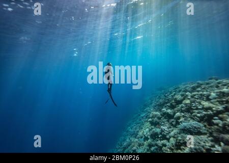 Fille Freediving à Blue Hole Dahab - Egypte Banque D'Images