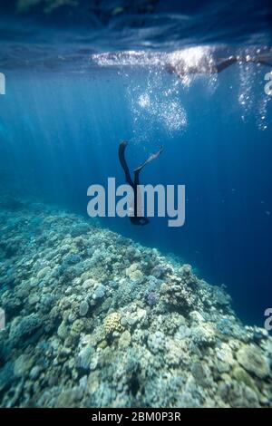 Fille Freediving à Blue Hole Dahab - Egypte Banque D'Images