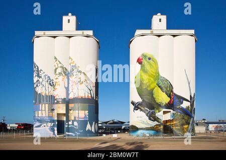 Silo art, Waikerie, Australie méridionale Banque D'Images